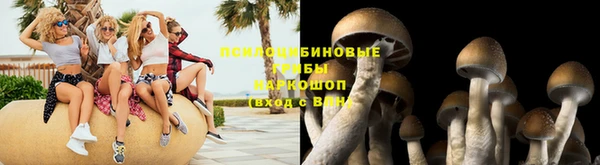 гидропоника Дрезна