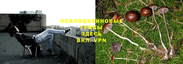 амф Сосновоборск