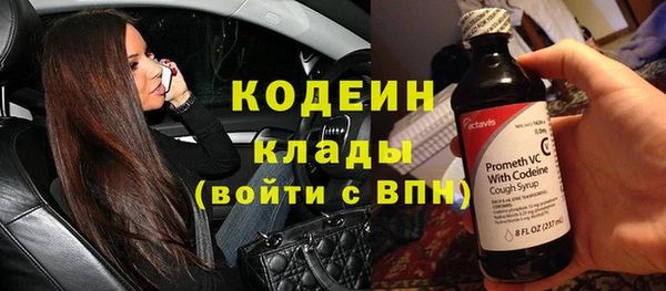 крисы Армянск