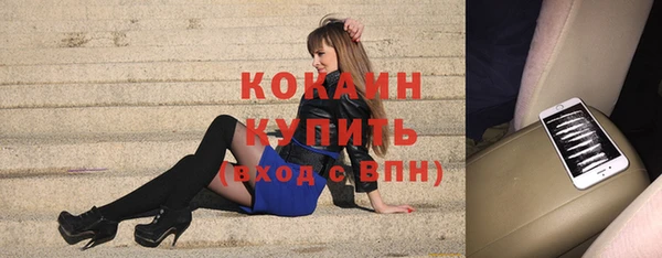 крисы Армянск